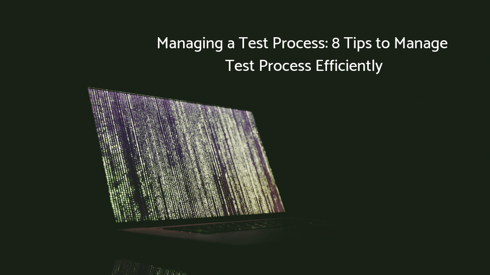 software testing | managing test process