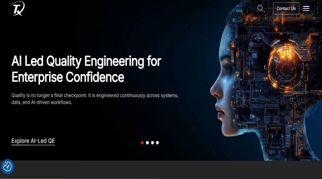 TestingXperts
